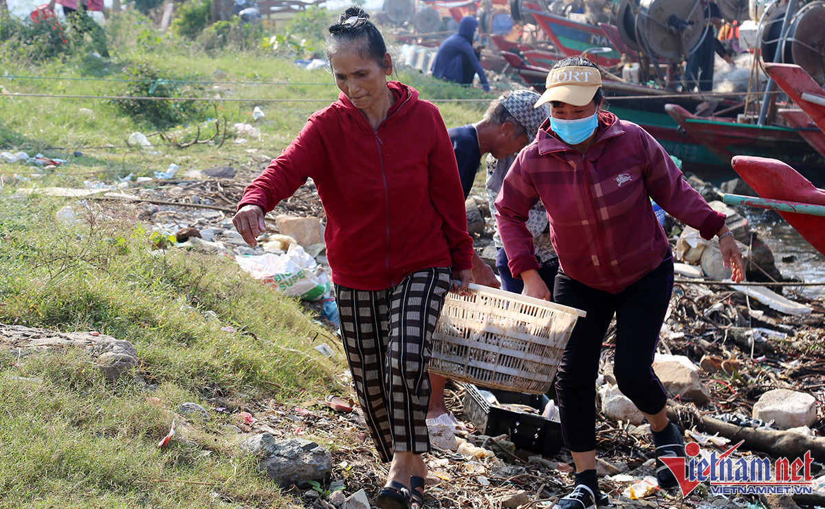 'Săn' ghẹ sau bão, ngư dân thu hàng triệu đồng mỗi đêm - Ảnh 3.