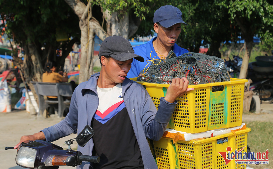 'Săn' ghẹ sau bão, ngư dân thu hàng triệu đồng mỗi đêm - Ảnh 8.