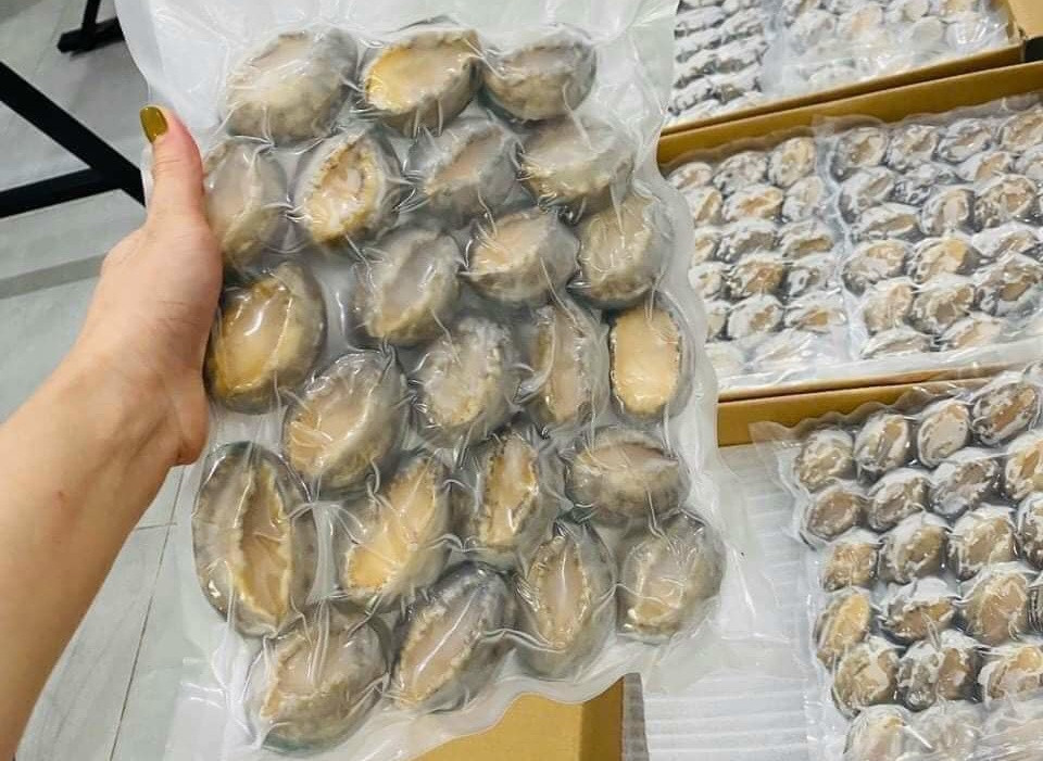 Bất ngờ: Bào ngư ngoại giá chưa tới 400.000 đồng/kg - Ảnh 1.