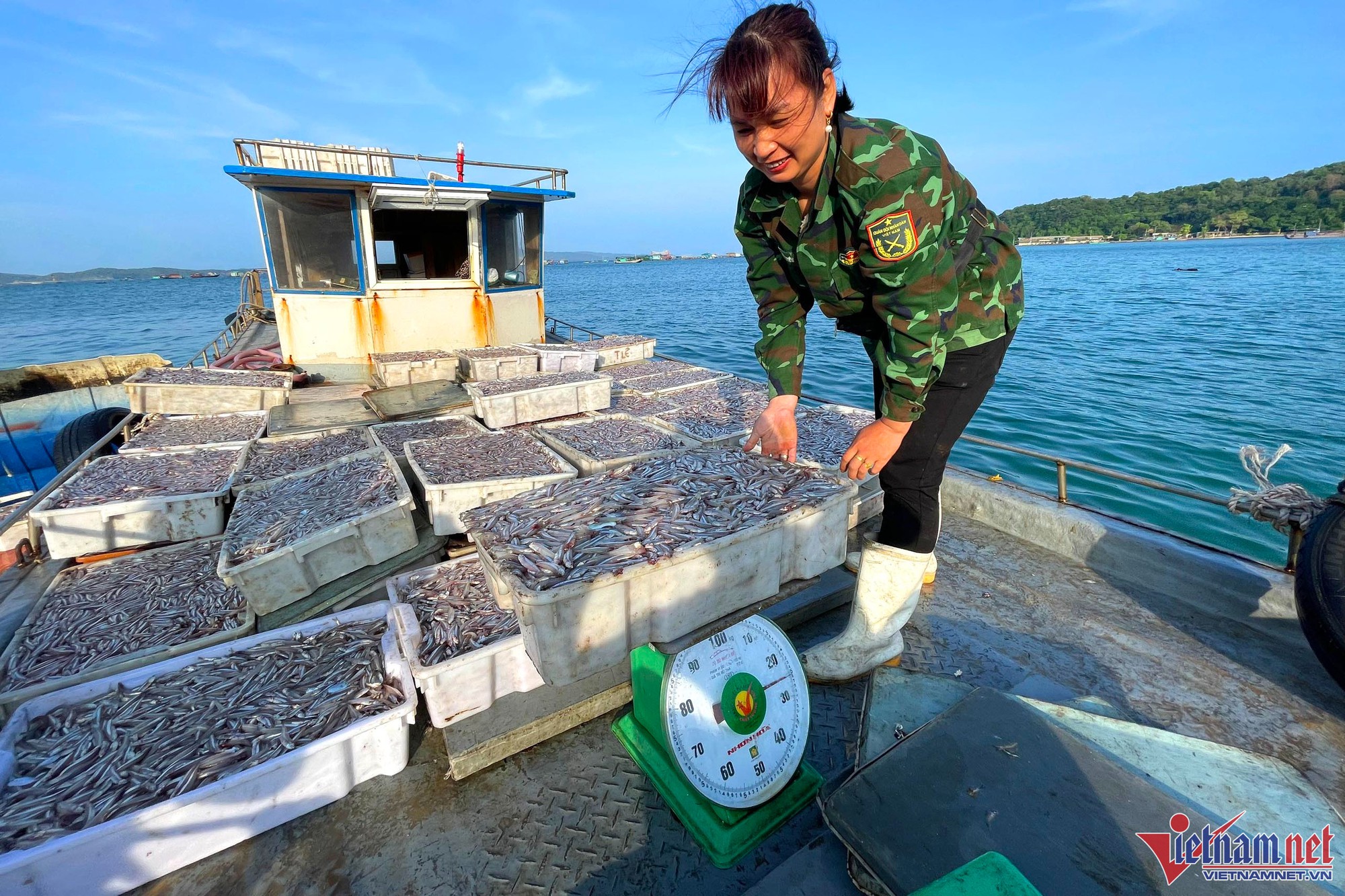 Mùa cá cơm trên đảo Thanh Lân, mỗi ngày thu hàng chục triệu đồng - Ảnh 4.