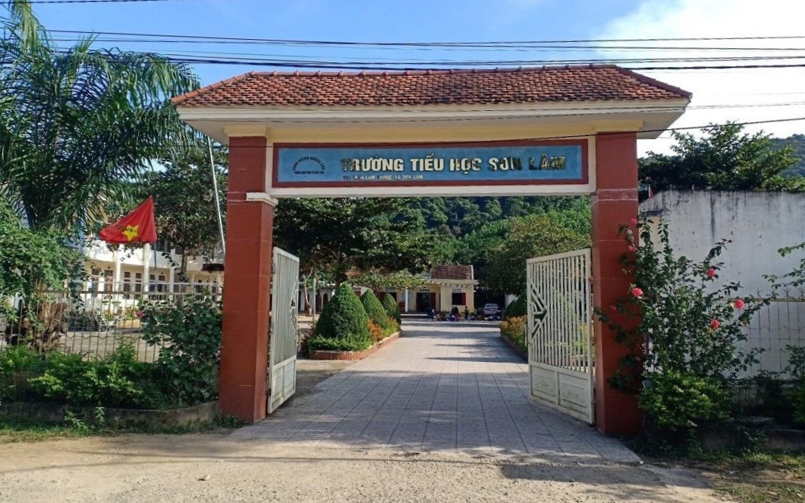 truong-hs-492-1667285199982749498110-17-0-738-1153-crop-1667285269847117273551.jpg