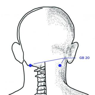 5 động tác mát xa vùng đầu cải thiện chứng hay quên - Ảnh 2.