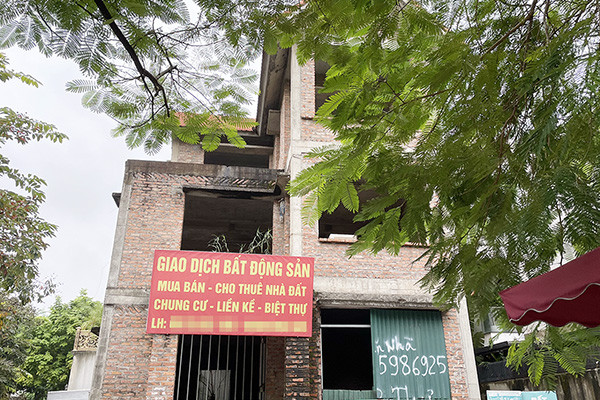 Mải m&ecirc; &ocirc;m đất mong ăn quả đậm, 'm&ocirc;i giới n&ocirc;ng d&acirc;n' lỗ nặng - Ảnh 4.