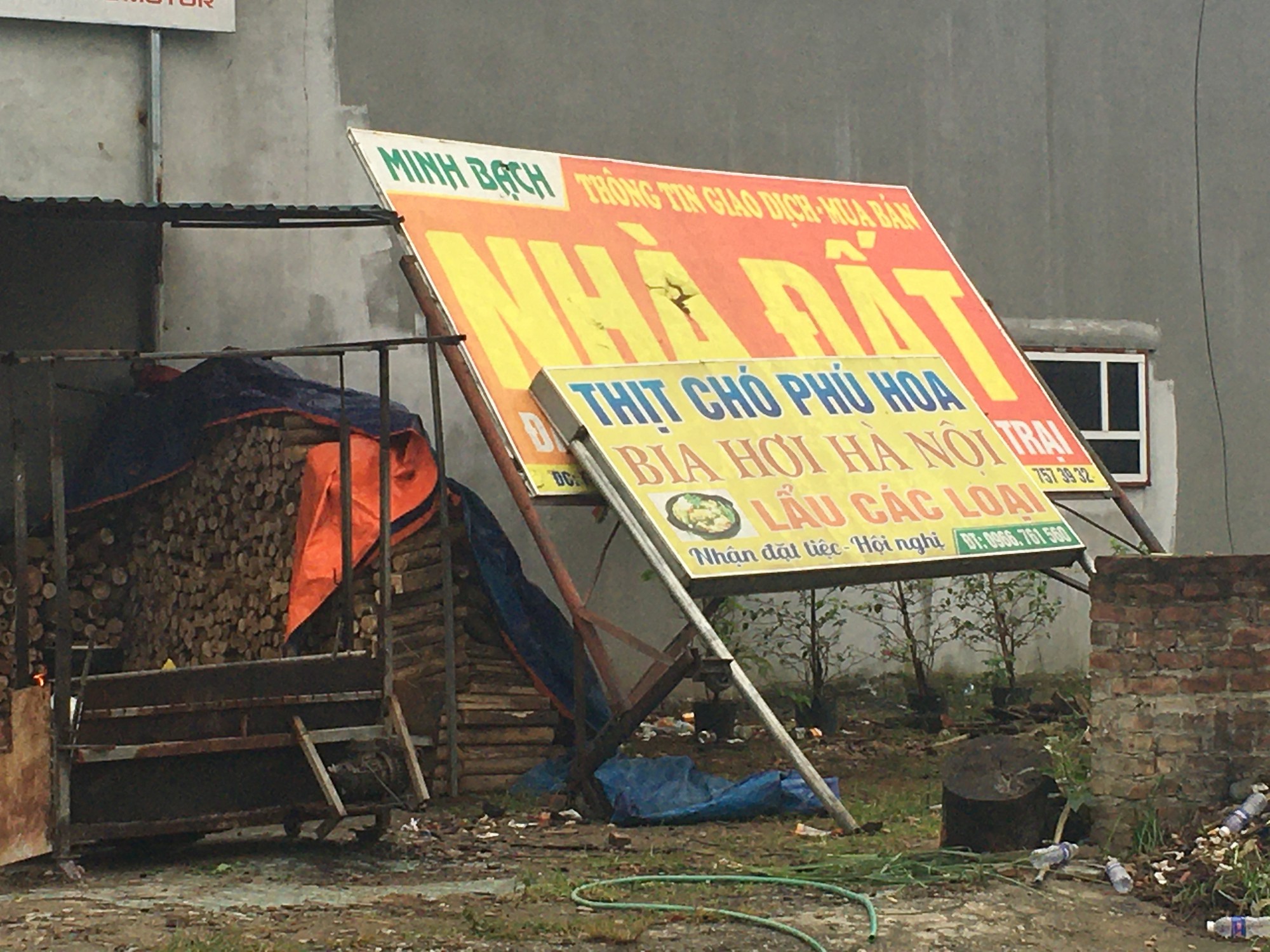 Mải m&ecirc; &ocirc;m đất mong ăn quả đậm, 'm&ocirc;i giới n&ocirc;ng d&acirc;n' lỗ nặng - Ảnh 3.