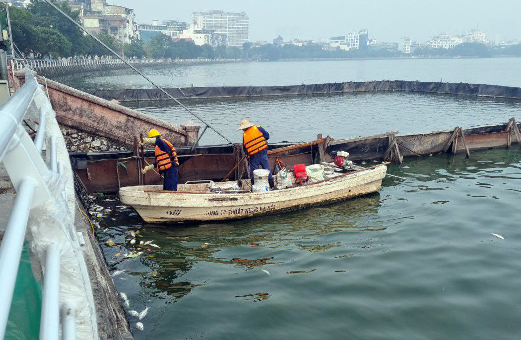 Tin 19/11: Điều dưỡng mệt nhoài vẫn cố nắm tay bà cụ 'đòi chết' sau 10 năm chạy thận; xe Wave Alpha biển ngũ quý 9 được bán với giá 900 triệu đồng - Ảnh 6.