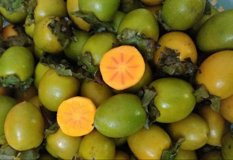 GIÁ HỒNG GIÒN TƯƠI NGON TẠI BÁCH HOÁ XANH