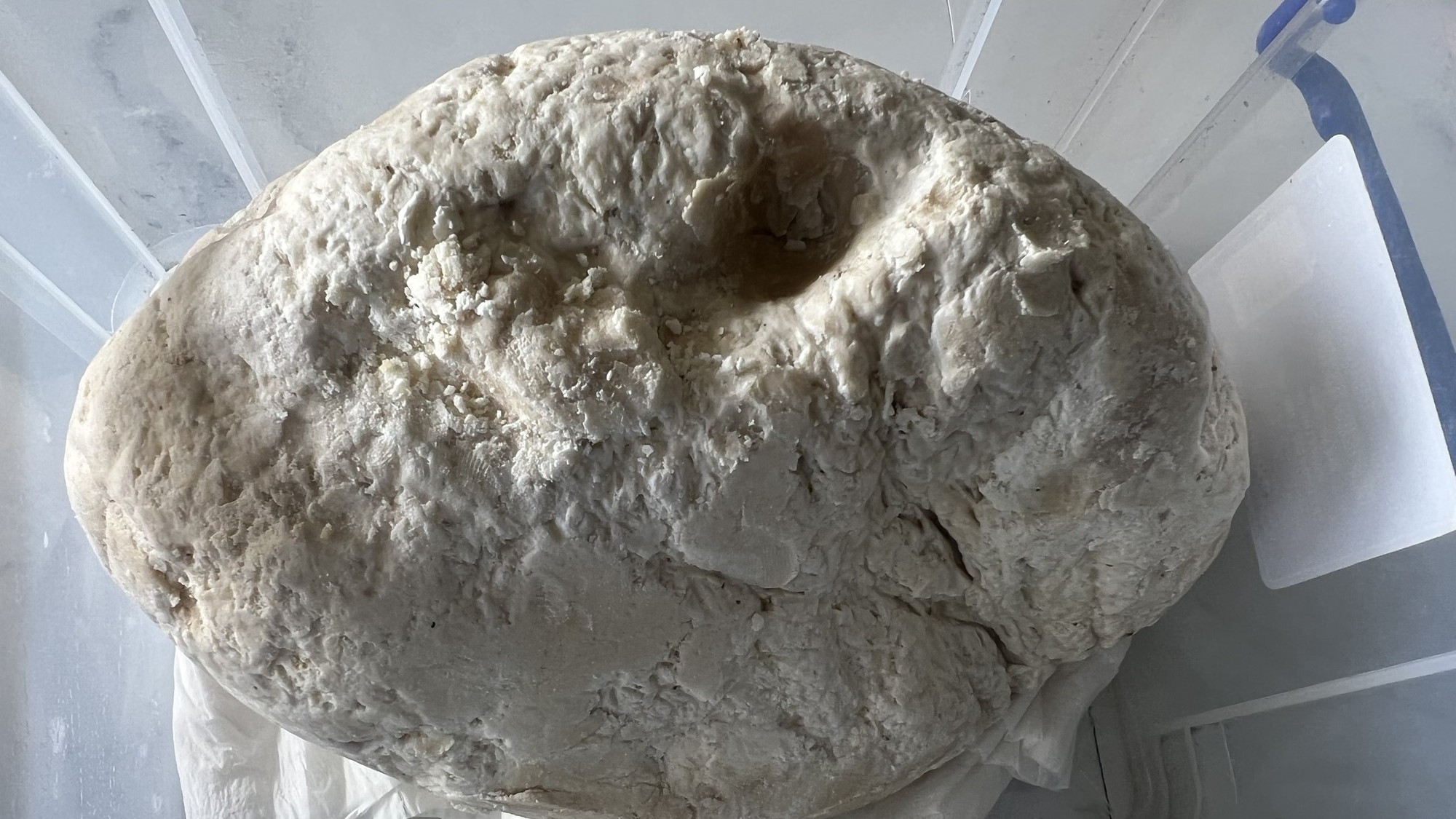 Ngư d&acirc;n vớt được vật lạ nghi l&agrave; long di&ecirc;n hương qu&yacute; hiếm - Ảnh 1.