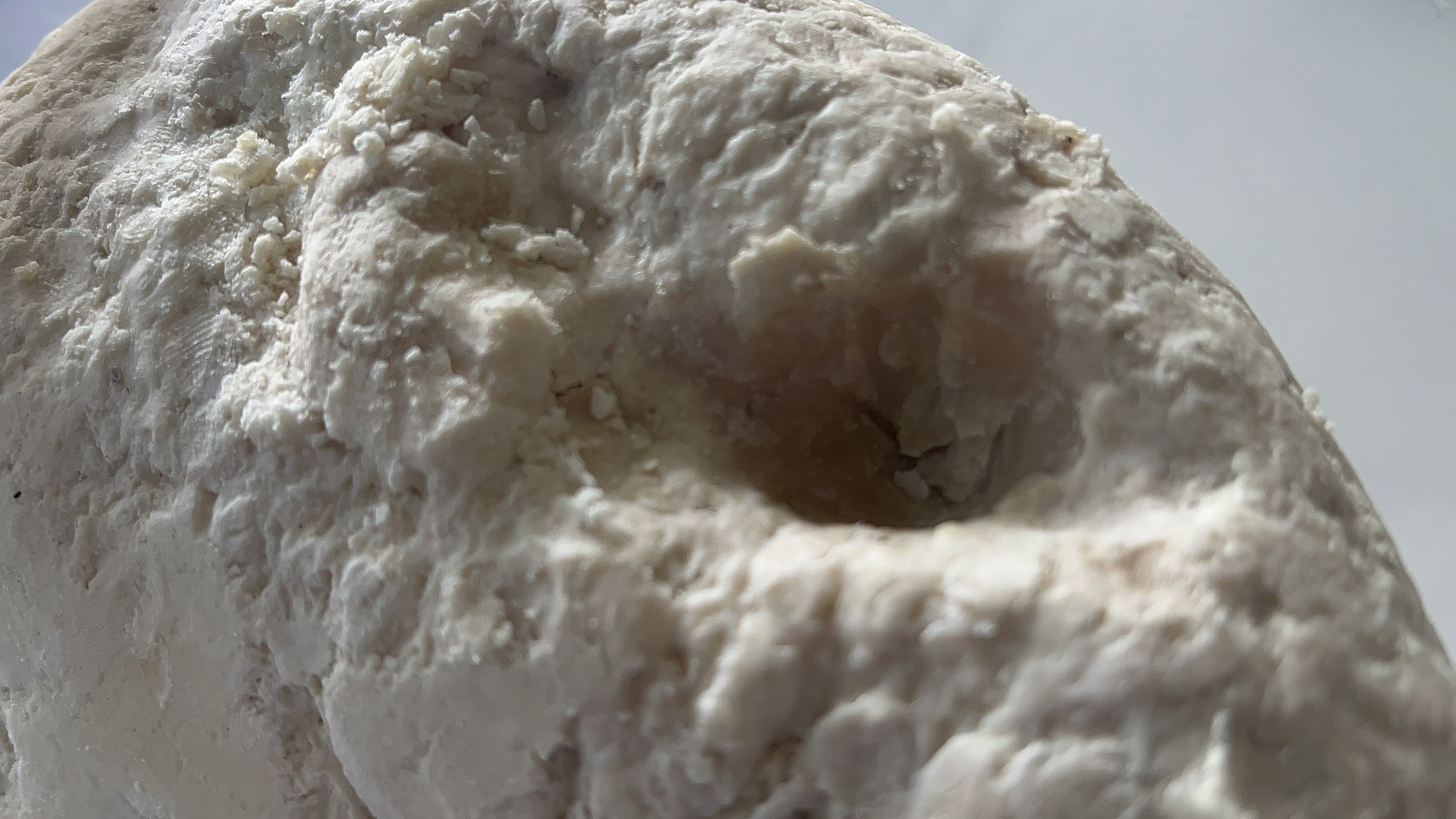 Ngư d&acirc;n vớt được vật lạ nghi l&agrave; long di&ecirc;n hương qu&yacute; hiếm - Ảnh 3.