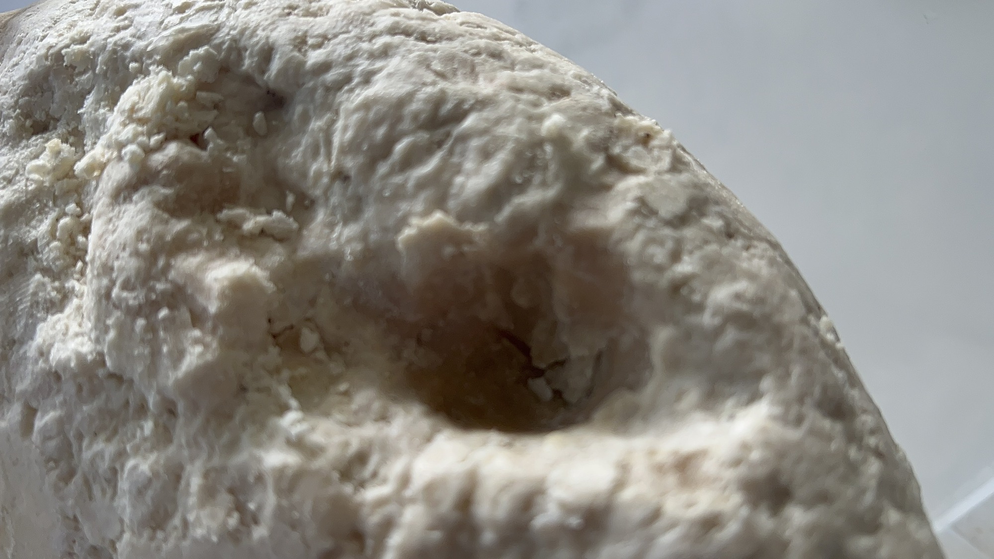 Ngư d&acirc;n vớt được vật lạ nghi l&agrave; long di&ecirc;n hương qu&yacute; hiếm - Ảnh 2.