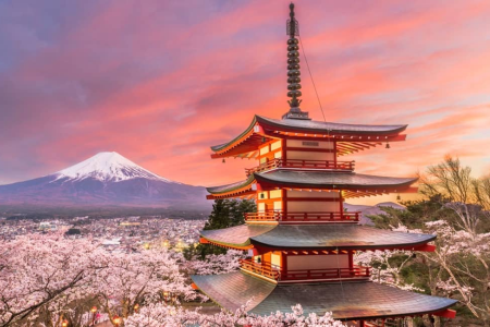 Du lịch Nhật Bản trọn gói cùng Vinagroup Travel - Ảnh 5.