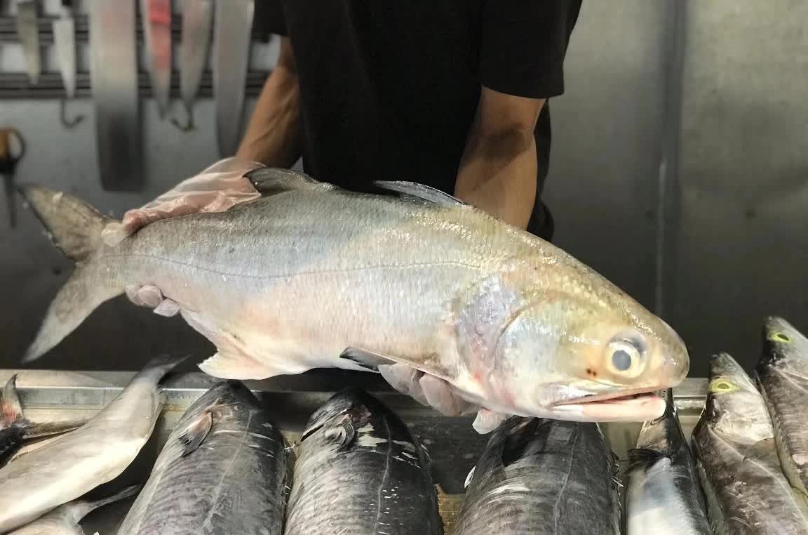 Loại cá là đặc sản của các tỉnh phía Bắc, giá bán cao tới 300 nghìn/kg vẫn được yêu thích - Ảnh 1.