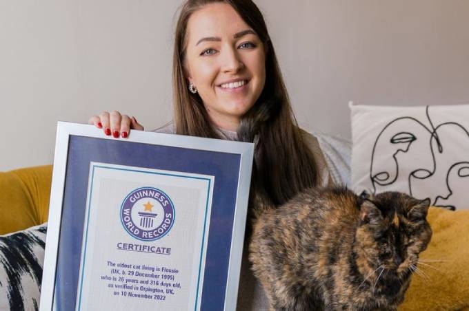 Mèo 27 tuổi được công nhận kỷ lục 'mèo già nhất thế giới' - Ảnh 1.