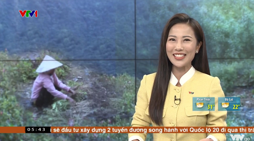 MC Quỳnh Hoa trở lại sóng VTV1 sau sự cố vạ miệng - Ảnh 3.