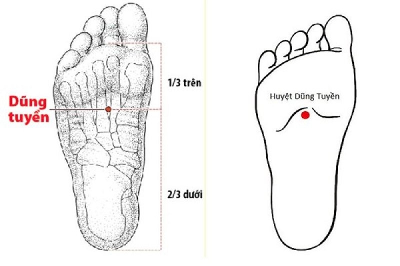 Ít ai biết dưới chân có 1 công tắc giấc ngủ, ấn vào mỗi ngày sẽ ngủ ngon cả đêm: Còn thêm dưỡng thận, tốt cho đàn ông - Ảnh 3.