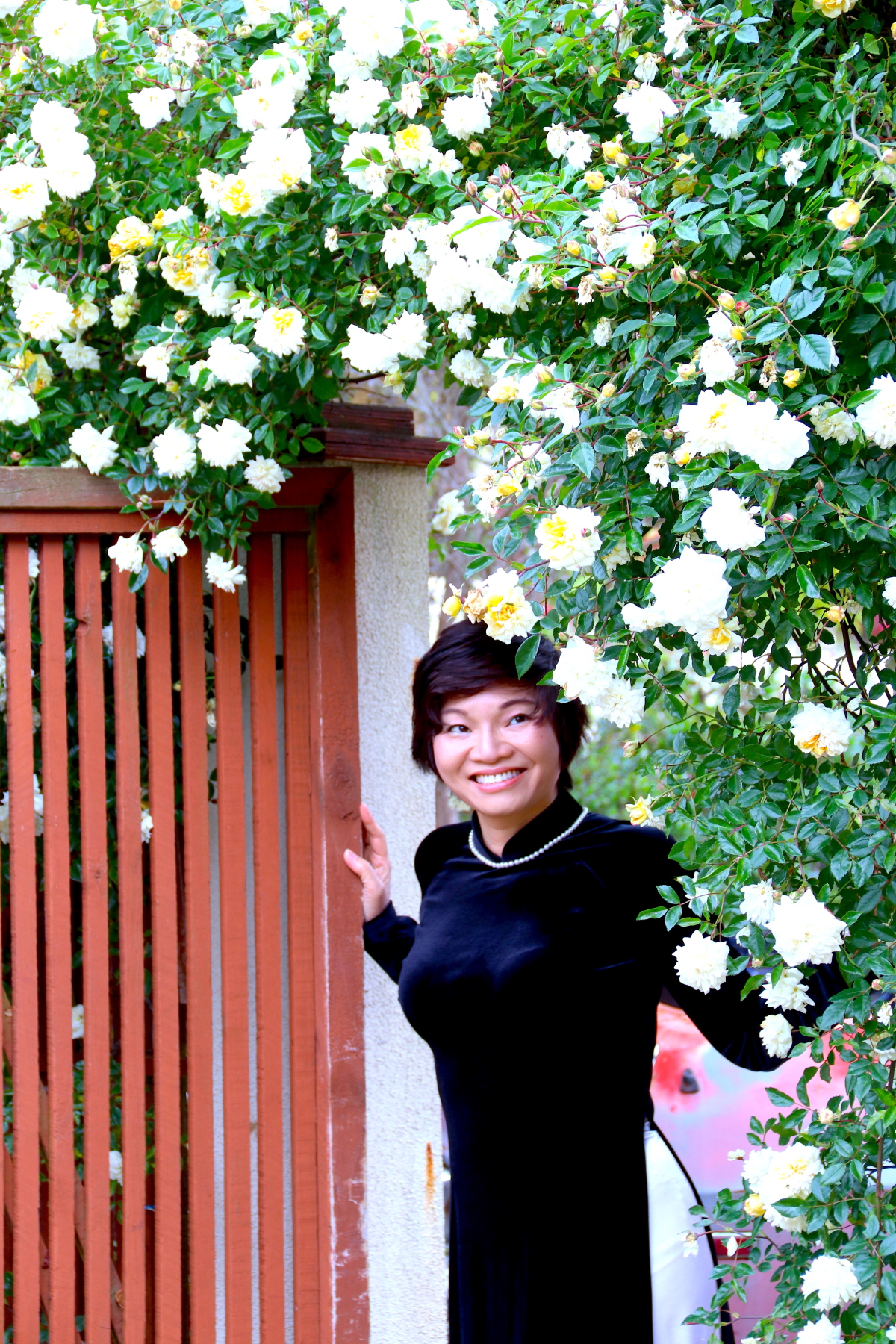 Ngôi nhà bốn mùa nở hoa của mẹ Việt ở New Zealand - Ảnh 1.