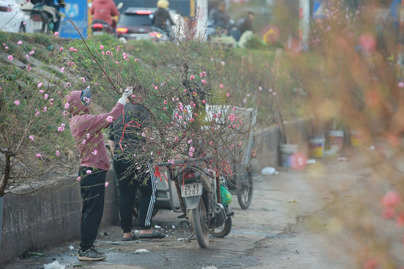 Thiếu nữ Hà Thành &quot;thả dáng&quot; cùng hoa đào đầu mùa bung sắc - Ảnh 2.