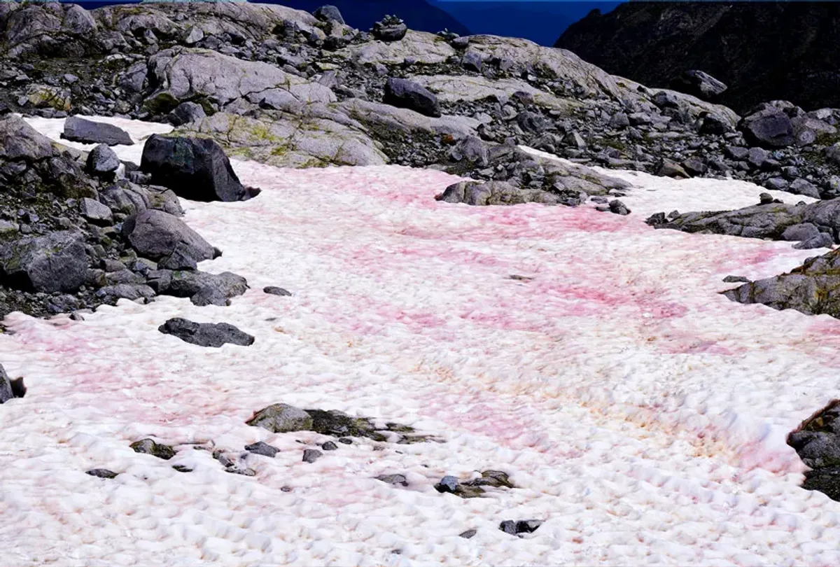 pink-glacial-ice-alps-italy-0706-1669886006894373162279-1671154079707-16711540799182126796895.png