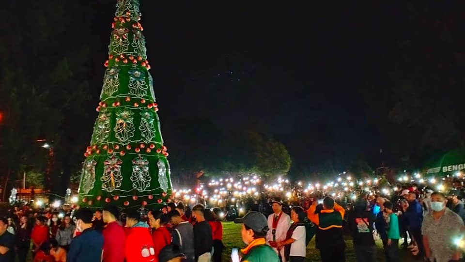 Những cây thông Noel lạ lùng tại các trường đại học top đầu thế giới - Ảnh 26.