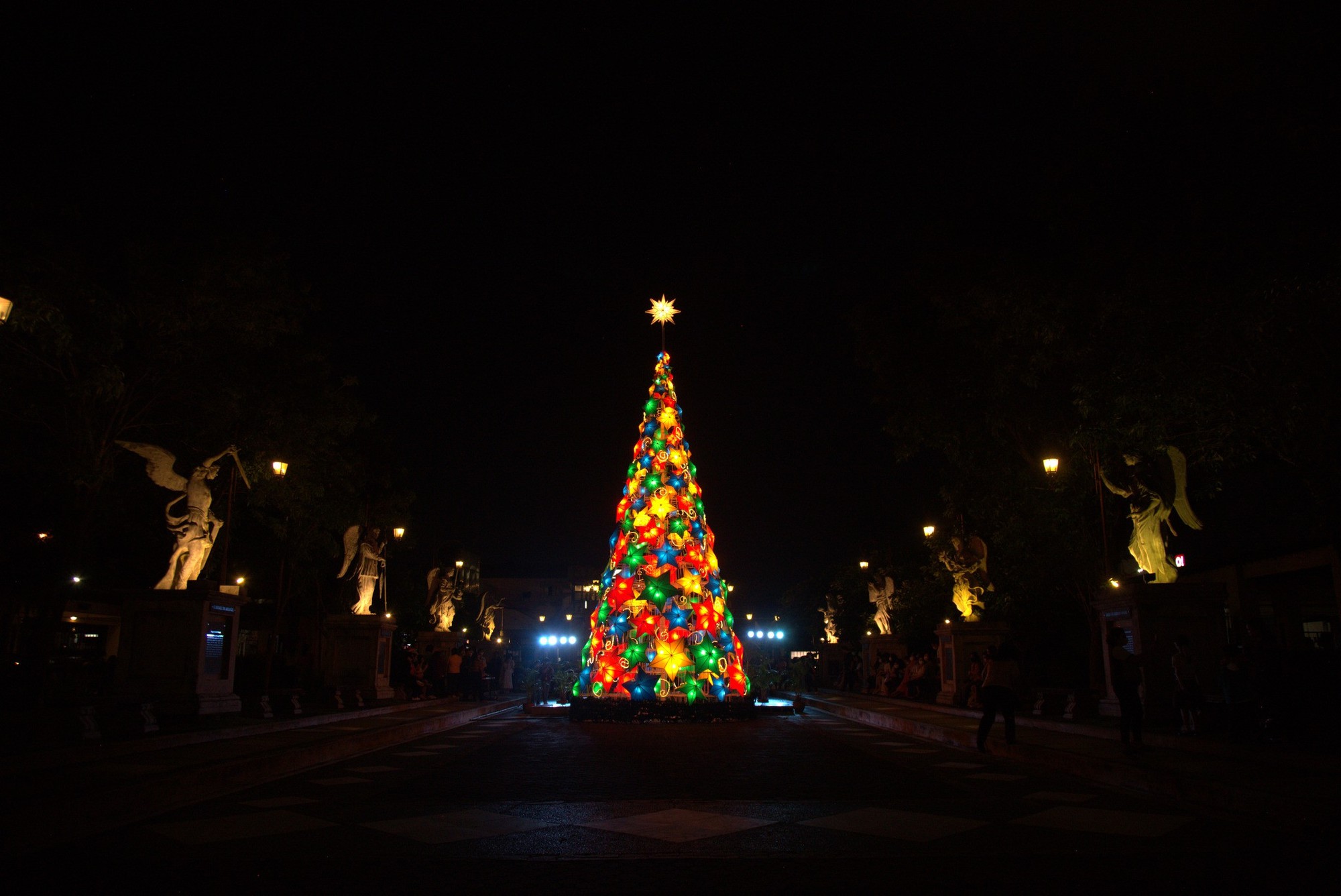 Những cây thông Noel lạ lùng tại các trường đại học top đầu thế giới - Ảnh 19.