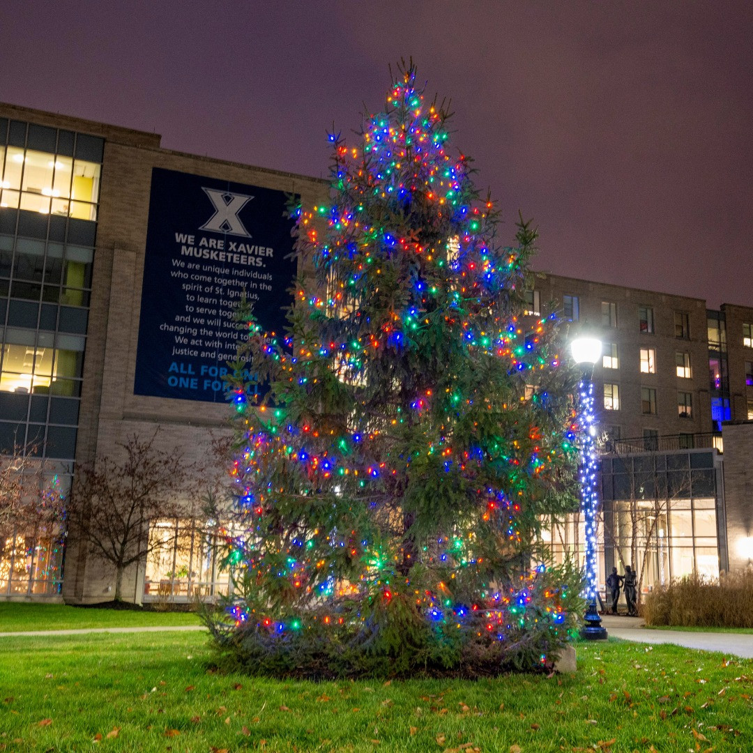 Những cây thông Noel lạ lùng tại các trường đại học top đầu thế giới - Ảnh 20.