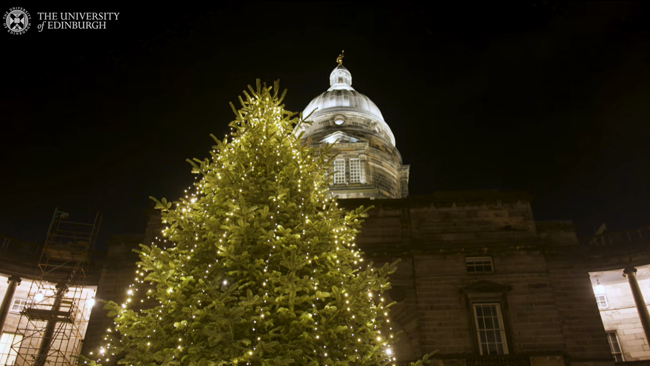 Những cây thông Noel lạ lùng tại các trường đại học top đầu thế giới - Ảnh 6.
