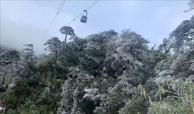 R&eacute;t đậm, gi&oacute; mạnh v&agrave; s&oacute;ng lớn tr&ecirc;n biển g&acirc;y thiệt hại tại nhiều địa phương - Ảnh 1.