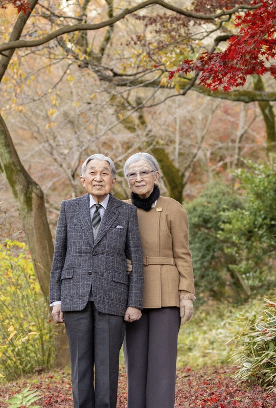 Thượng hoàng Nhật Bản đón sinh nhật tuổi 89 - Ảnh 1.