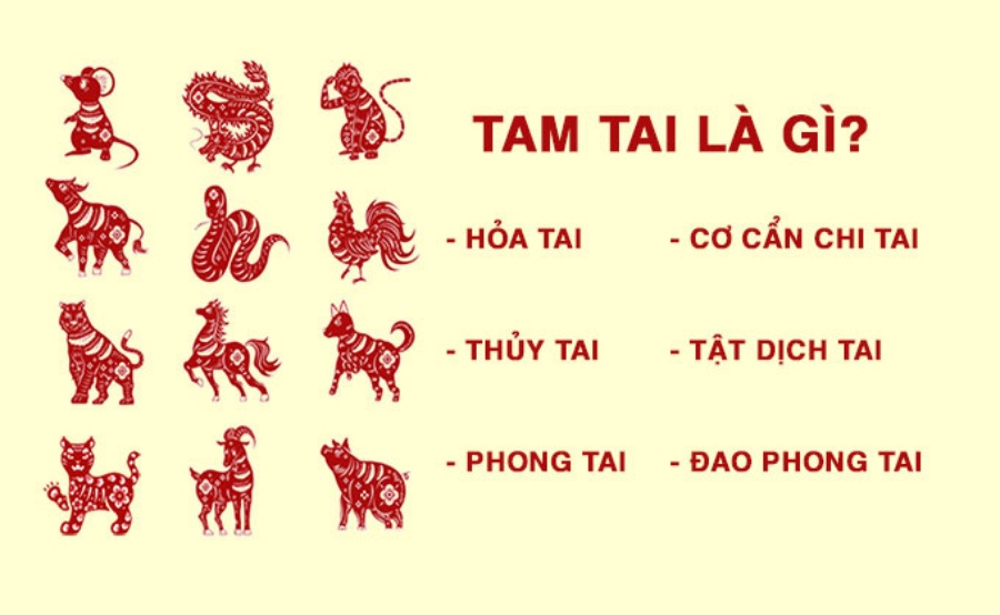 Tam Tai là Hạn Gì? Tìm Hiểu Chi Tiết Về Hạn Tam Tai và Cách Hóa Giải