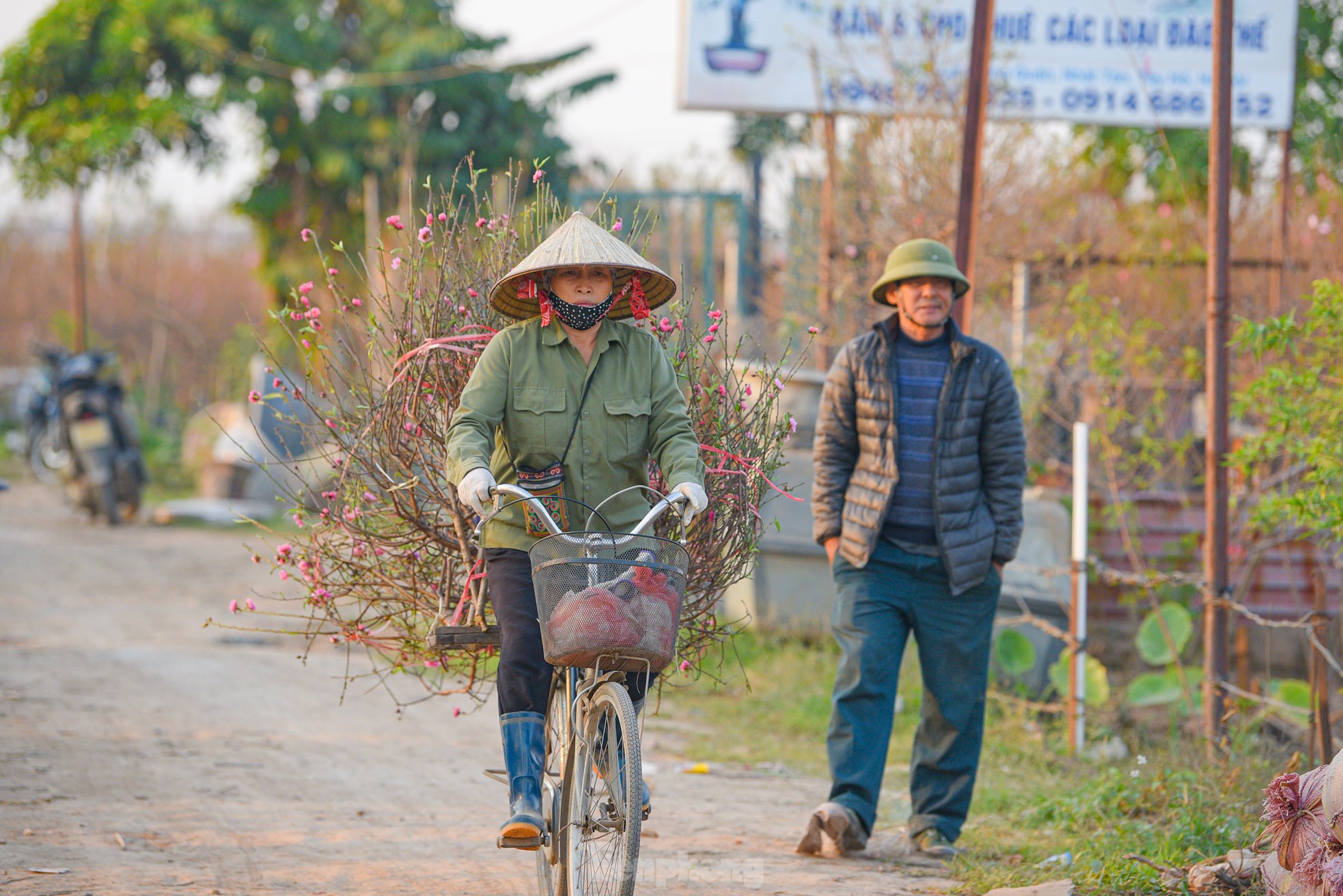 Đào nở sớm, bắt đầu xuống phố đón Tết Dương lịch - Ảnh 6. Đào nở sớm, bắt đầu xuống phố đón Tết Dương lịch - Ảnh 6.