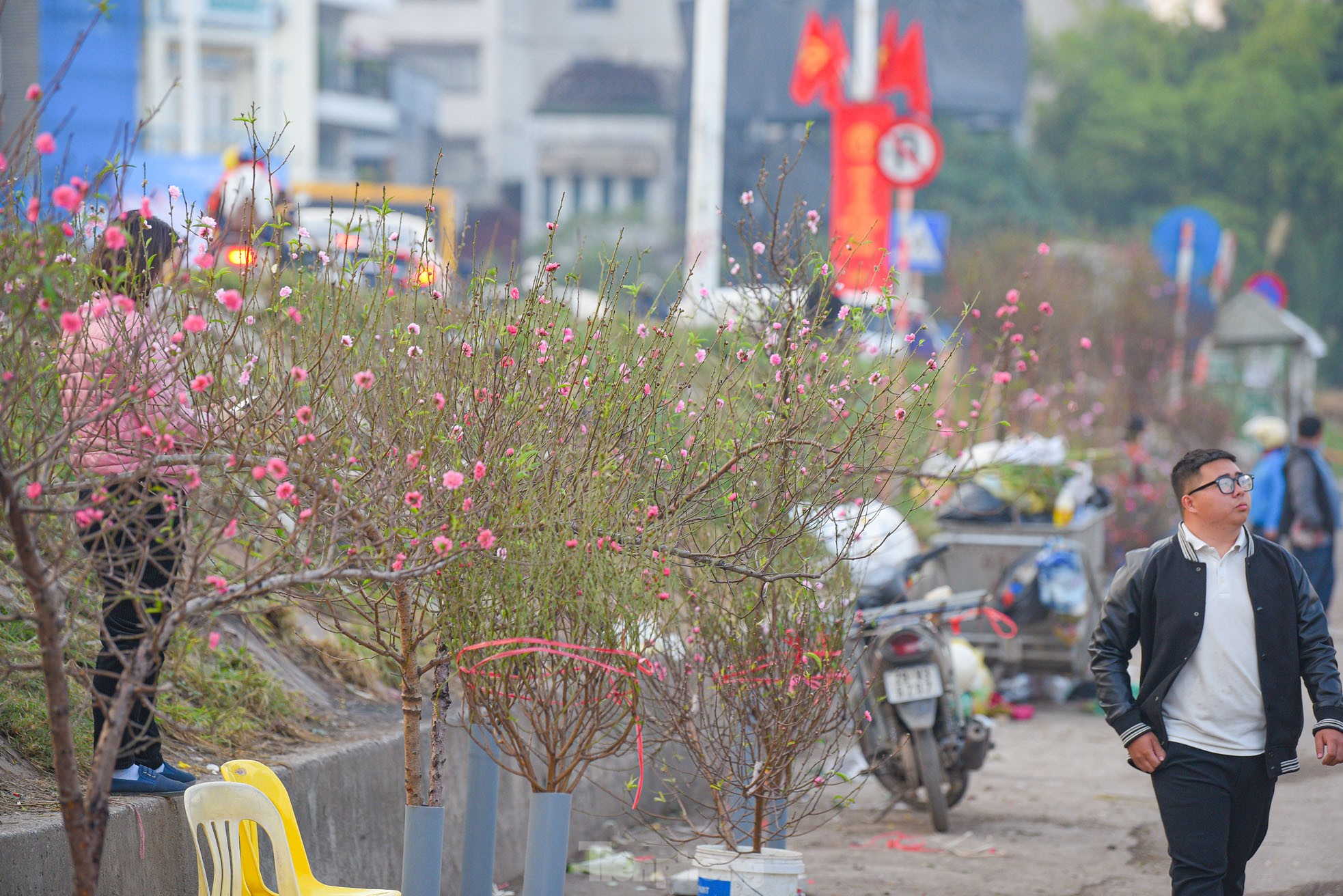 Đào nở sớm, bắt đầu xuống phố đón Tết Dương lịch - Ảnh 9. Đào nở sớm, bắt đầu xuống phố đón Tết Dương lịch - Ảnh 9.