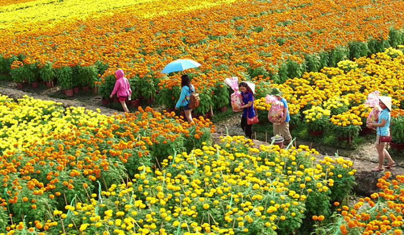 Đón năm mới 2023 ở Hà Nội: Nhiều điểm vui chơi hấp dẫn - Ảnh 3.