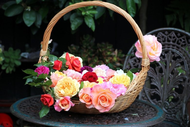 Mẹ Việt ở New Zealand trồng trăm loại hoa hồng đẹp như tranh, đi công tác vài tháng vườn vẫn tươi tốt - Ảnh 9.