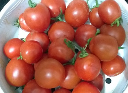 Cà chua vào mùa vừa rẻ vừa ngon nhưng đừng mắc sai lầm này, 6 điều nhất định phải tránh khi ăn - Ảnh 2.