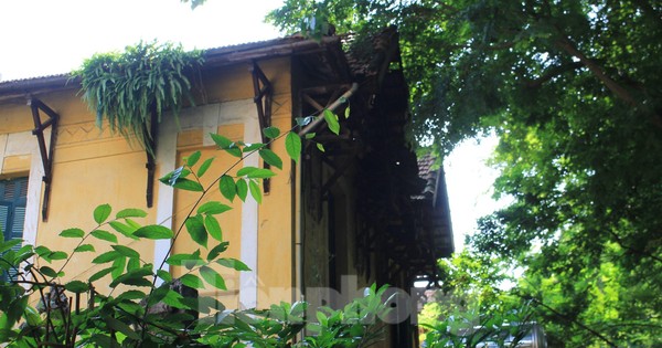 Chiêm ngưỡng vẻ đẹp của các biệt thự Pháp cổ trong nắng thu Hà Nội