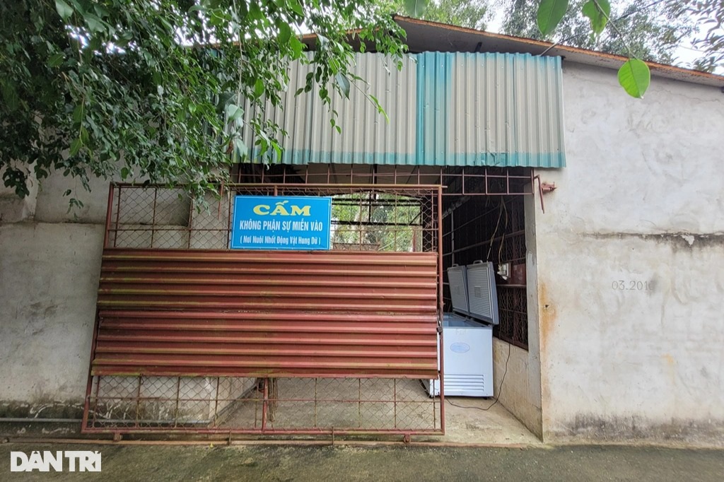 Người đ&agrave;n &ocirc;ng một m&igrave;nh tr&ocirc;ng giữ, chăm s&oacute;c 11 con hổ - Ảnh 1.