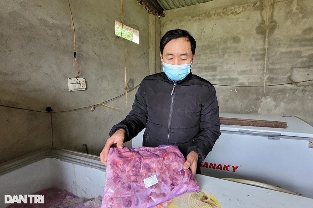 Người đ&agrave;n &ocirc;ng một m&igrave;nh tr&ocirc;ng giữ, chăm s&oacute;c 11 con hổ - Ảnh 5.