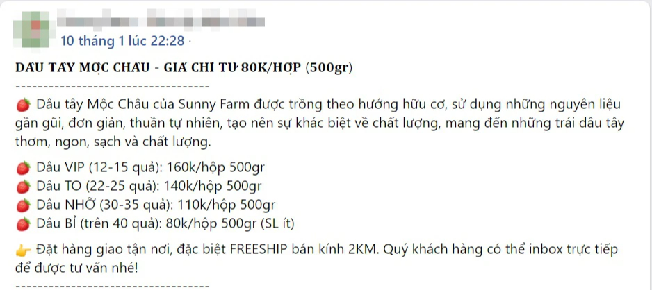 Dâu tây Mộc Châu &quot;nhuộm đỏ&quot; chợ mạng, loại rẻ nhất giá chỉ 110k/kg - Ảnh 3.