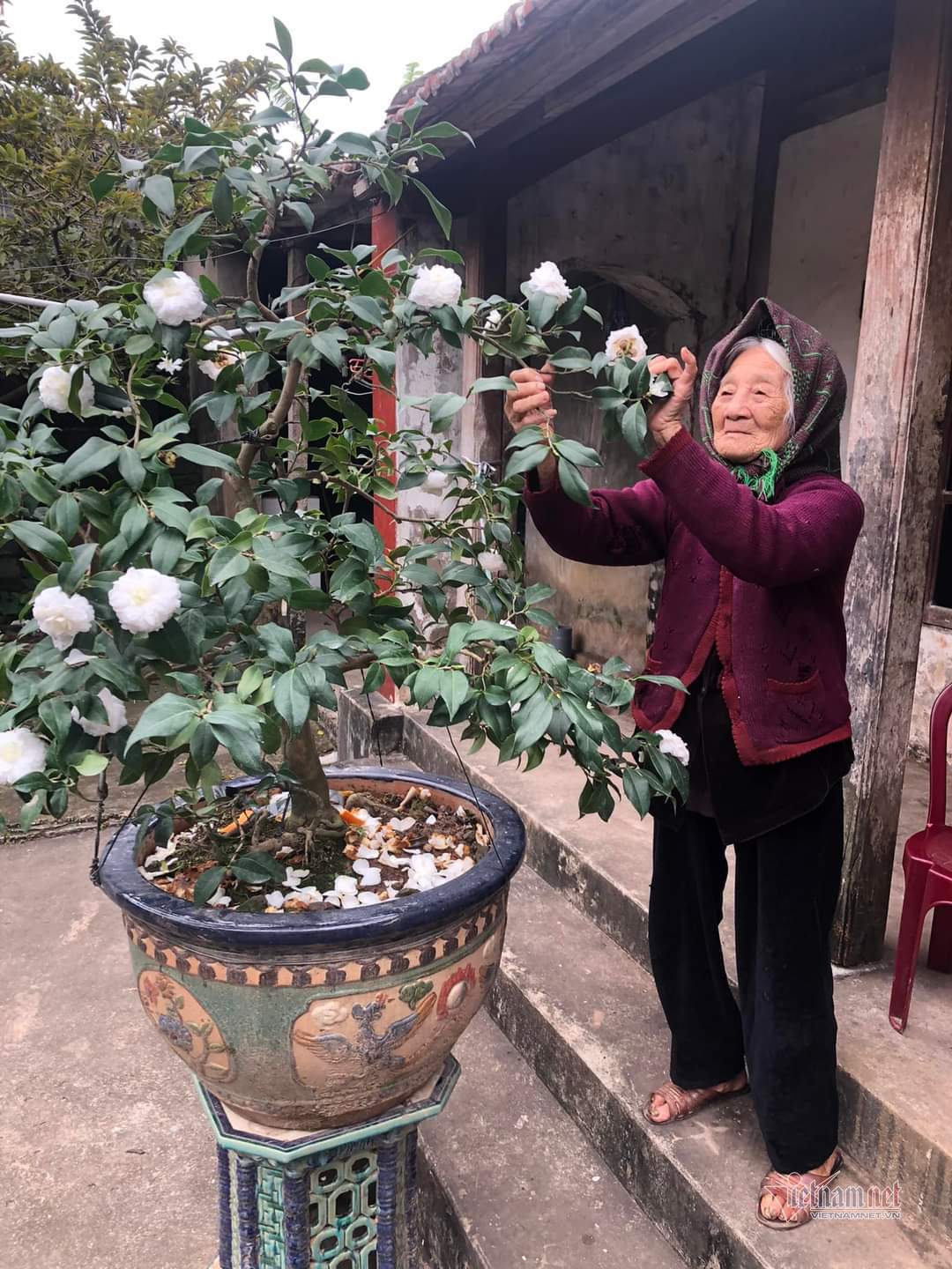 Cụ bà hạnh phúc nhất Việt Nam: 108 tuổi, có 114 cháu, chắt - Ảnh 10.