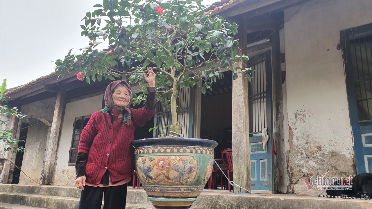 Cụ bà hạnh phúc nhất Việt Nam: 108 tuổi, có 114 cháu, chắt - Ảnh 1.