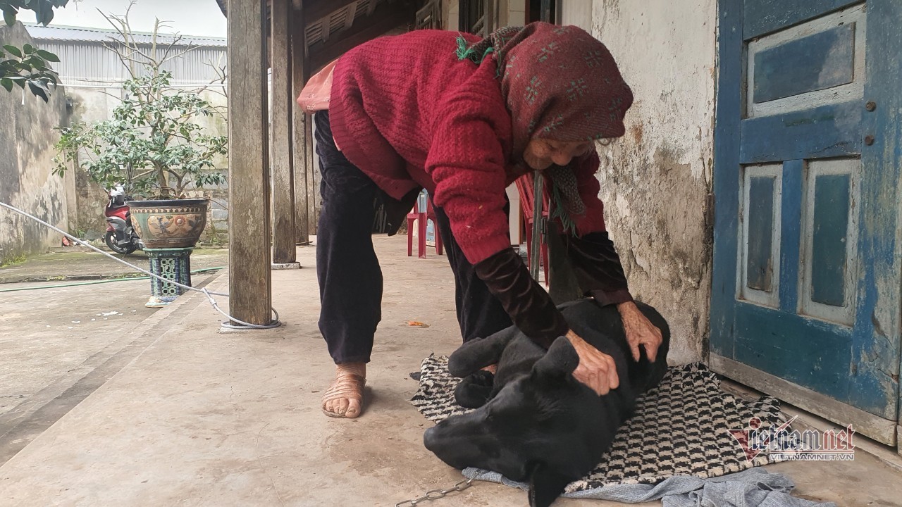 Cụ bà hạnh phúc nhất Việt Nam: 108 tuổi, có 114 cháu, chắt - Ảnh 6.