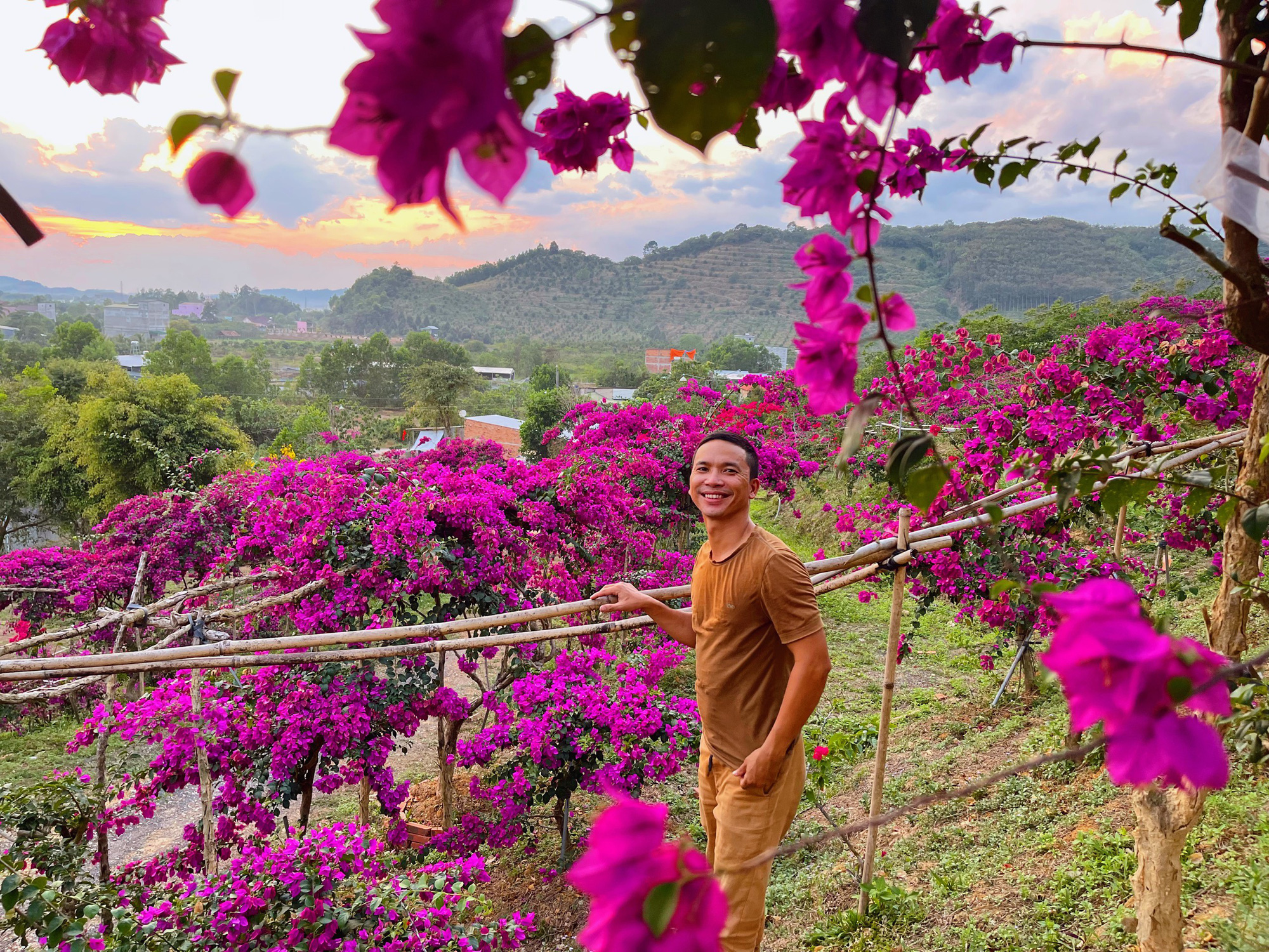 Vợ chồng biến 5500 m2 đất cằn thành khu đồi hoa giấy đẹp như mơ ở Lâm Đồng - Ảnh 6.
