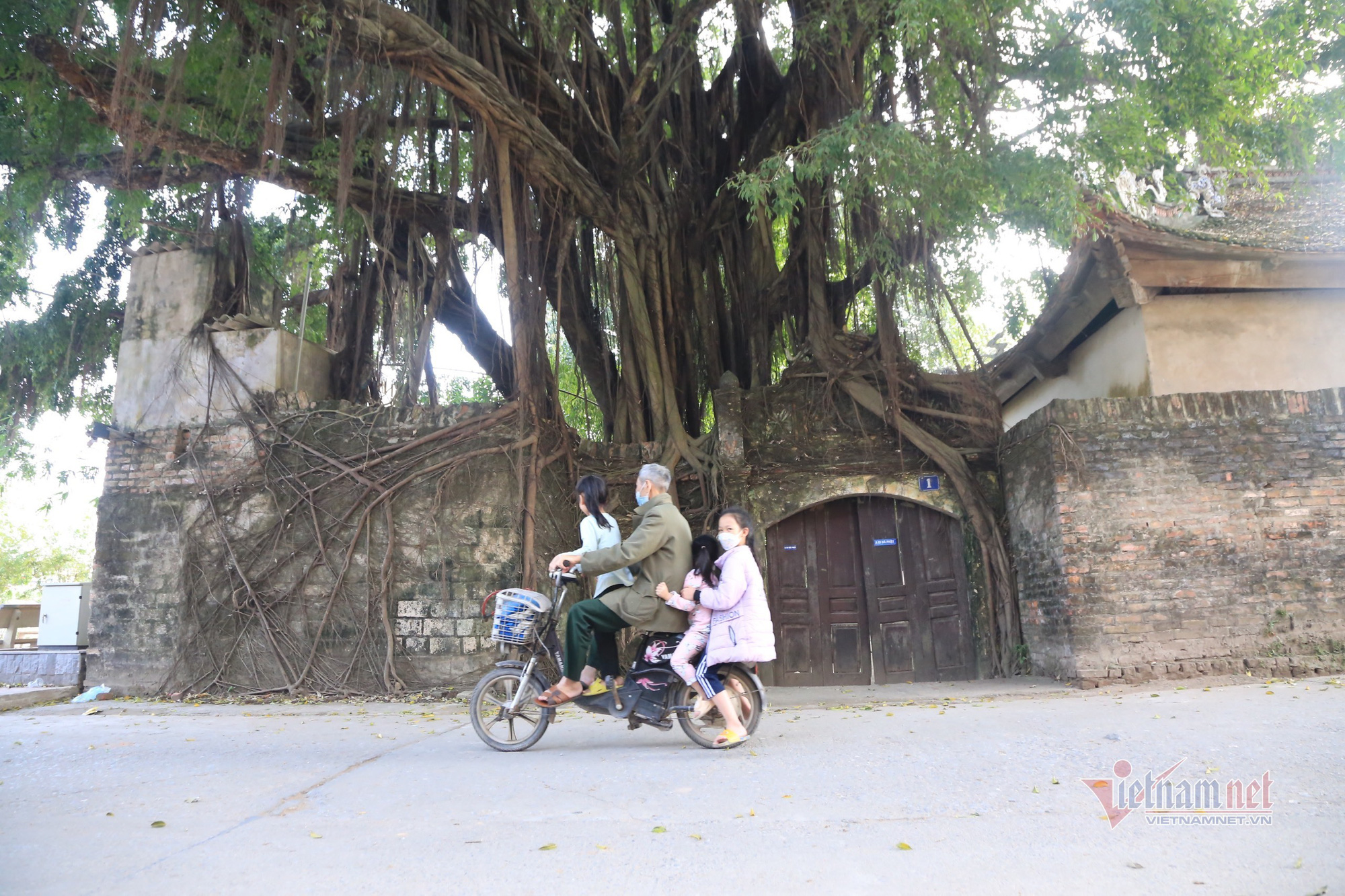 Cụ bà gần trăm tuổi ở Hà Nội xin hiến chùa cho làng - Ảnh 5.