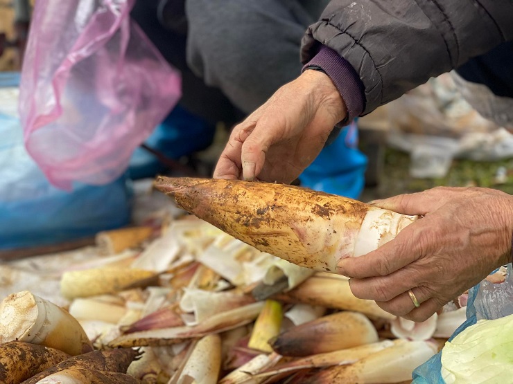 “Lộc rừng” xuống phố thành đặc sản, chị em rủ nhau mua cả yến về ăn dần - Ảnh 1.