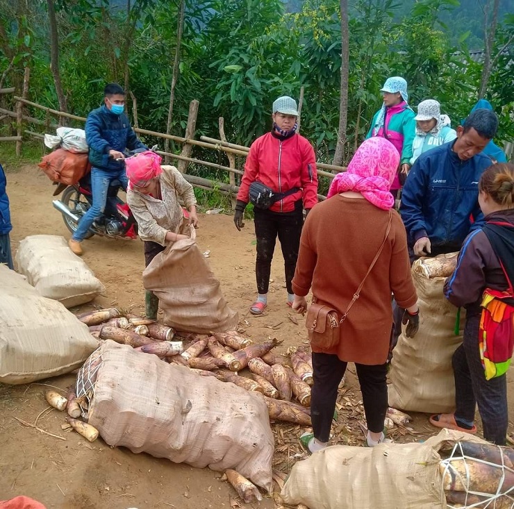 “Lộc rừng” xuống phố thành đặc sản, chị em rủ nhau mua cả yến về ăn dần - Ảnh 5.