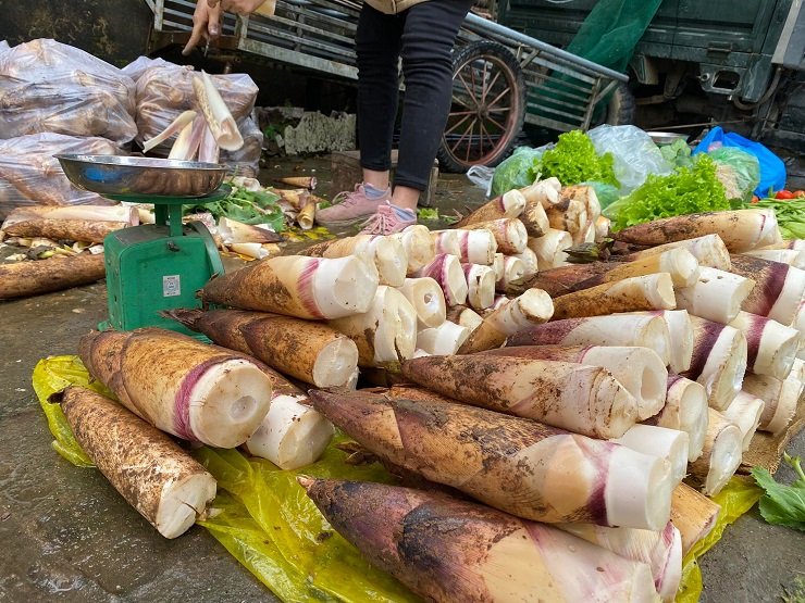 “Lộc rừng” xuống phố thành đặc sản, chị em rủ nhau mua cả yến về ăn dần - Ảnh 6.