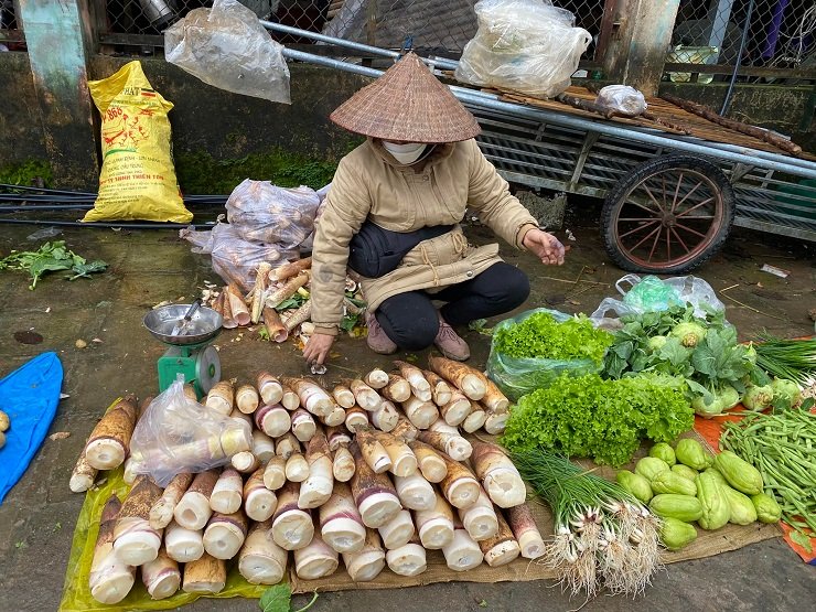 “Lộc rừng” xuống phố thành đặc sản, chị em rủ nhau mua cả yến về ăn dần - Ảnh 8.