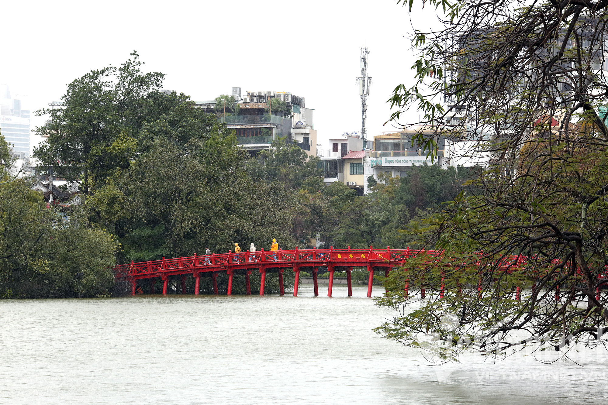 Mưa rét buốt ở Hà Nội, cần thủ vẫn dầm mình ở hồ Gươm - Ảnh 9.