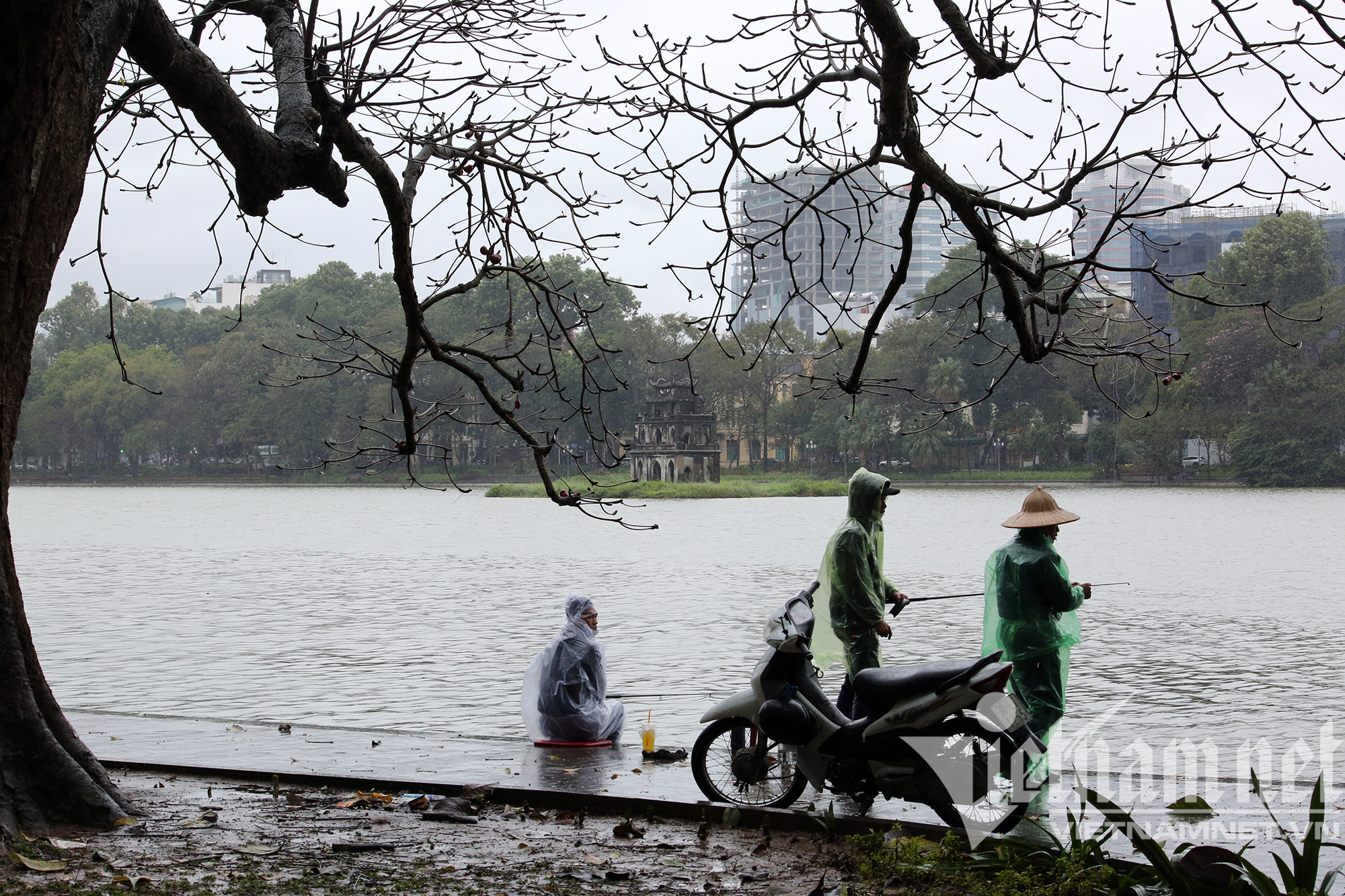 Mưa rét buốt ở Hà Nội, cần thủ vẫn dầm mình ở hồ Gươm - Ảnh 1.