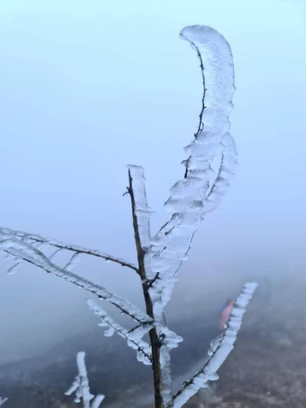 Mãn nhãn hình ảnh băng giá cực đẹp ở Mẫu Sơn, Phja Oắc, Lào Cai trong nền nhiệt dưới 0 độ C - Ảnh 8.