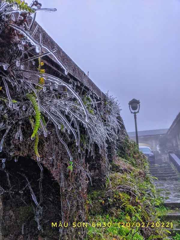 Mãn nhãn hình ảnh băng giá cực đẹp ở Mẫu Sơn, Phja Oắc, Lào Cai trong nền nhiệt dưới 0 độ C - Ảnh 2.